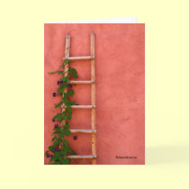 Santa Fe, ©MarkEaston cards