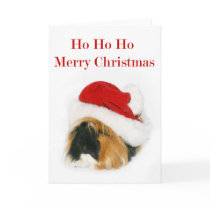 Santa Guinea Pig Cards