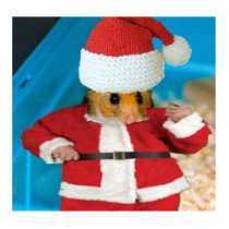 Santa Hamster Photo Sculpture photo sculptures by sunhe33 Santa Hamster Photo Sculpture photo sculptures