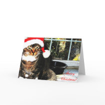 Santa hat cat II cards
