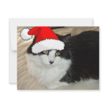 Santa Hat Kitty invitations by Incatneato Santa Hat Kitty invitations