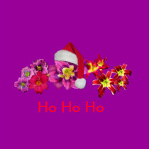Santa Hat On Daylily t-shirts
