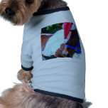 Santa Horse Pet Clothing