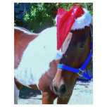 Santa Horse flyers