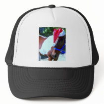 Santa Horse hats