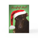Santa Jack cards