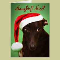 Santa Jack cards