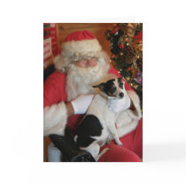 Santa & Jack Russell cards by rescue_ranch Santa & Jack Russell cards