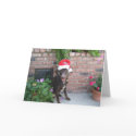 Santa Jake cards