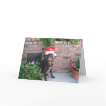 Santa Jake cards by mdgordon Santa Jake cards