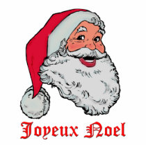 Santa Joyeux Noel photo sculptures