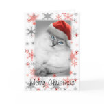santa kitty christmas card