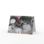 Santa Kitty Christmas Card