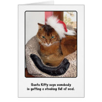 Santa Kitty Christmas Card cards