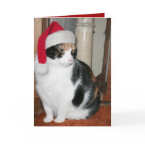 Santa Kitty Christmas card for cat lover
