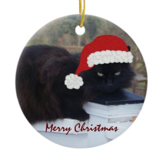 Santa Kitty: Christmas Ornament