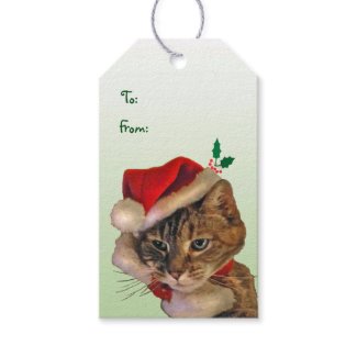 Santa Kitty Pack of Gift Tags