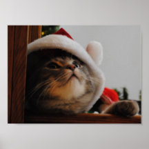 Santa Kitty Poster