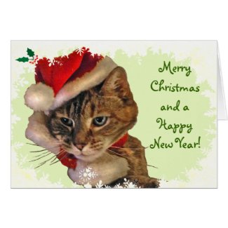 Santa Kitty with Holly Christmas Cards