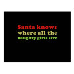 Santa knows where all the naughty girls live postcards