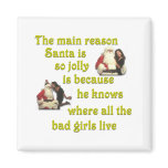 Santa Knows Where the Bad Girls Live magnets