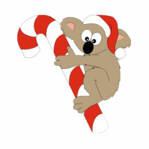 Santa Koala