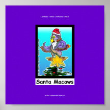 Santa Macaws Funny Cartoon Christmas Bird Poster