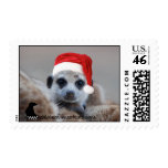 Santa meerkat postage postage