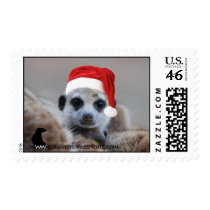 Santa meerkat postage postage