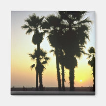 Santa Monica, Los Angeles, California, U.S.A. Refrigerator Magnet