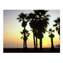 Santa Monica, Los Angeles, California, U.S.A. postcards