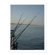 Santa Monica Pier Postcard