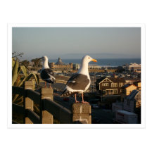 Santa Monica Postcard