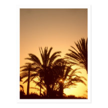 Santa Monica Sunset Postcard