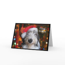 Santa Old English Sheepdog Christmas Card card