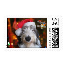 Santa Old English Sheepdog Christmas Postage Stamp stamp