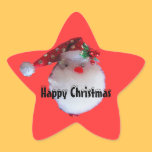 Santa on X'mas Star Sticker