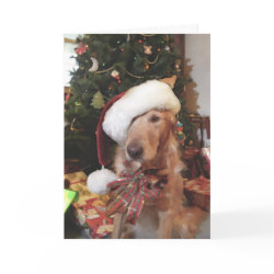 Santa Paws Christmas Card card