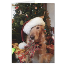 Santa Paws Christmas Card