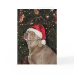 Santa Paws is Coming to Town Greeting Card