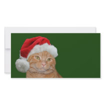 Santa paws photo cards by deemac1 Santa paws photo cards