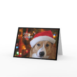Santa Pembroke Welsh Corgi Christmas Card card