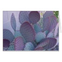 santa rita cactus cards by nldill santa rita cactus cards