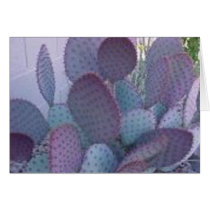 santa rita cactus cards
