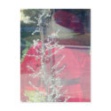 "Santa Sighting" Postcard by Victoreeah "Santa Sighting" Postcard