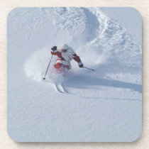 Snowbird Coaster