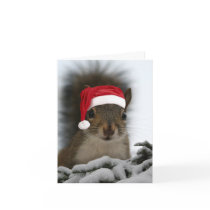 Santa Squirrel Greeting Cards