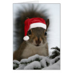 Santa Squirrel Greeting Cards