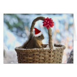Santa Squirrel in Snow Greeting Card