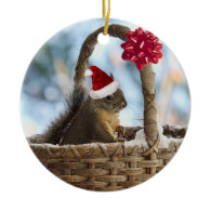 Santa Squirrel in Snow Ornaments